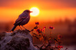 A sunrise and a bird
