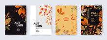 Autumn, Fall, Thanksgiving Day Trendy Backgrounds With Beautiful Leaves. Abstract Vector Templates Poster, Invitation, Card, Flyer, Cover, Banner, Placard, Brochure, Social Media, Sale, Advertising