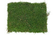 Top view of Japanese lawn grass cut into square sheets for sale isolated on white background included clipping path.