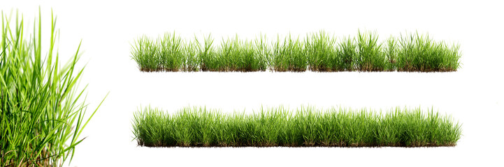 Fototapete - Green grass borders with selective focus closeup, isolated on transparent background. 3D render.