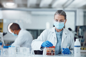 Poster - Woman, blood sample or scientist with research in a science laboratory for medical analysis or innovation. Face mask, medicine development or researcher studying test of DNA or virus in vial tube