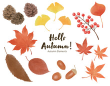 秋の植物のイラストのセット　Hello Autumn
