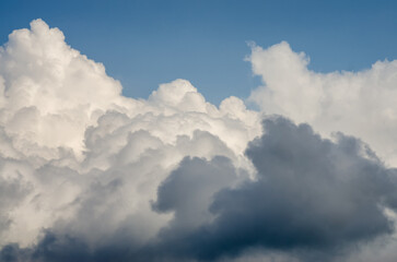 Wall Mural - pattern blue day sky with white clouds