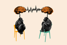 Collage Portrait Of Two Black White Effect Monkeys Sit Chair Communicate Mind Brain Connection Isolated On Beige Background