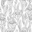 Seamless Black and white pattern with iris flowers