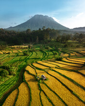 Aerial View Of A House Along The Rice Fields Terrace At Sidemen Valley, Bali, Indonesia.