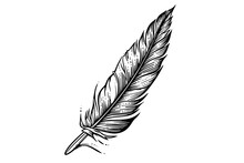 A Vintage Feather Quill Etching Style Sketch. Vector Engraving Style Illustration.