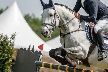 equestrian themed photograph, horse jumping event