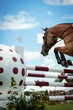 © Marcin Kilarski/Wirestock Creators - Vertical shot of a brown horse jumping over an obstacle at an equestrian event