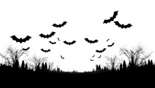 Full Moon With Bats Silhouetted Against It, A Classic Halloween Scene, Halloween Moon, Night Sky, Lunar Phase, Moonlight