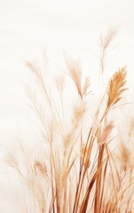 Wall Mural - Abstract natural beige background