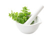 Fresh herbs in a mortar and pestle isolated on transparent background. PNG. Herbal alternative medicine