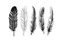 A Vintage Feather Quill Etching Style Sketch. Vector Engraving Style Illustration.