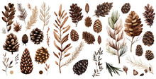 Set Of Pine Cone And Branches Watercolor Collection Of Hand Drawn, Pine Cone Brown Color, Pine Cone Elegant Watercolor , Pine Cone Isolated Transparent Background, PNG.