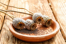 Poppy Flower Seed Pods Laying On A Terra Cotta Plant Saucer. Many Seeds On The Tray.
