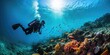 diver underwater, underwater world. Generative AI