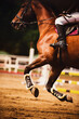 A bay horse with a rider in the saddle gallops quickly through the arena with barriers. Equestrian sports and horse riding. Show jumping competitions.
