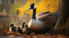 Country Goose With Ducklings