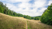 Path Through A Wildflower Meadow In The Beautiful Moosalb Valley In The Black Forest