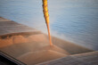 © Seneca CDR - A bulk cargo loaded with grain in port