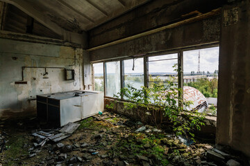 Wall Mural - Overgrown by plants old abandoned building interior