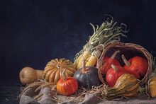 Autumn Still Life With Pumpkin Fruits Of Different Colors And Sizes And Corn, Closeup On A Dark Background With Space For Text. Concept Of Thanksgiving Day