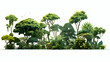© Clipart Collectors - Jungle rain forest trees shapes cutout 3d render