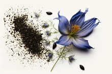 A Plain White Backdrop With Black Cumin Seeds And A Flowering Nigella Sativa. Generative AI