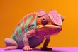 © pham - A vibrant chameleon perched on a bright pink surface
