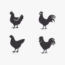 Chicken Logo  Rooster And Hen Logo For Poultry Farming  Animal Logo Vector Illustration Design