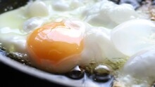 Close-up of raw egg yolk are fried in boiling oil