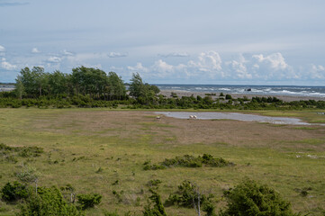 Wall Mural - island Osmussaar, estonia