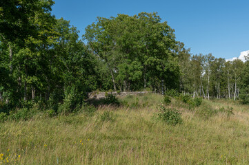 Wall Mural - Landsacape in island Abruka, Estonia