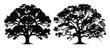 © ITrWorks - oak tree silhouettes set illustration