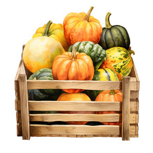Pumpkins And Gourds In Wooden Crate Watercolor Style Isolated