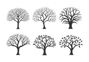 Set of black tree Silhouettes. Vector illustration isolated on white background