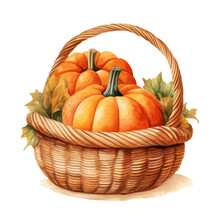 Two Pumpkins In Woven Basket Watercolor Style On White Background