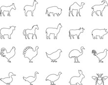 Farm Animals And Livestock Icons Set. Horse, Sheep, Goat, Rabbit. Editable Stroke. Simple Icons Vector Collection