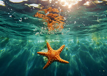  Starfish Underwater In The Blue Clear Sea, Generative Ai