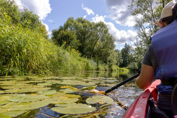  
kayak with yellow paddle and green bushes in background.