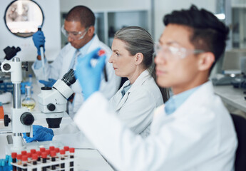 Leinwandbilder - Exam, blood sample and scientist with research in a laboratory for medical analysis or innovation. Science, medicine development or researcher studying or working on test of DNA or virus in vial tube