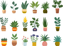 Set Of Houseplants In Flowerpots In Doodle Style Vector