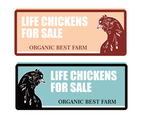 Wall Mural - CHICKEN FARM SELLING BANNER, silhouette of great chicken head vector illustrations. this image is perfect as banner or poster of your farm, maybe shirt prinnt, wallpaper etc.