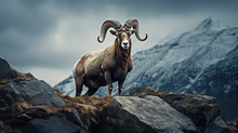 Mountain goat on a rock in a mountainous area, ai art