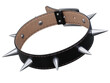 © koya979 - Spiked Dog collar 3d rendering
