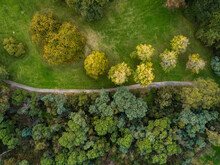 Aerial View Over Green City Park In Autumn With Walking Trails