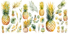 Set Of Pineapple Watercolor Collection Of Hand Drawn, Pineapple Yellow Color, Pineapple Elegant Watercolor Illustration , Pineapple Isolated Transparent Background, PNG.