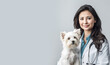 Veterinarian woman doctor and dog in a veterinary clinic. Banner. Medicine, pet care, health care. Veterinary care. Veterinary medicine concept. Pedigree dogs.