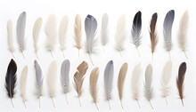 Feather Set. Feather Collection On White Background. Light Weight Of Feather. Abstract. Generated AI Illustration