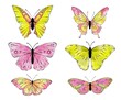 Watercolor pink and yellow butterflies. Hand drawn illustration, isolated on white background.